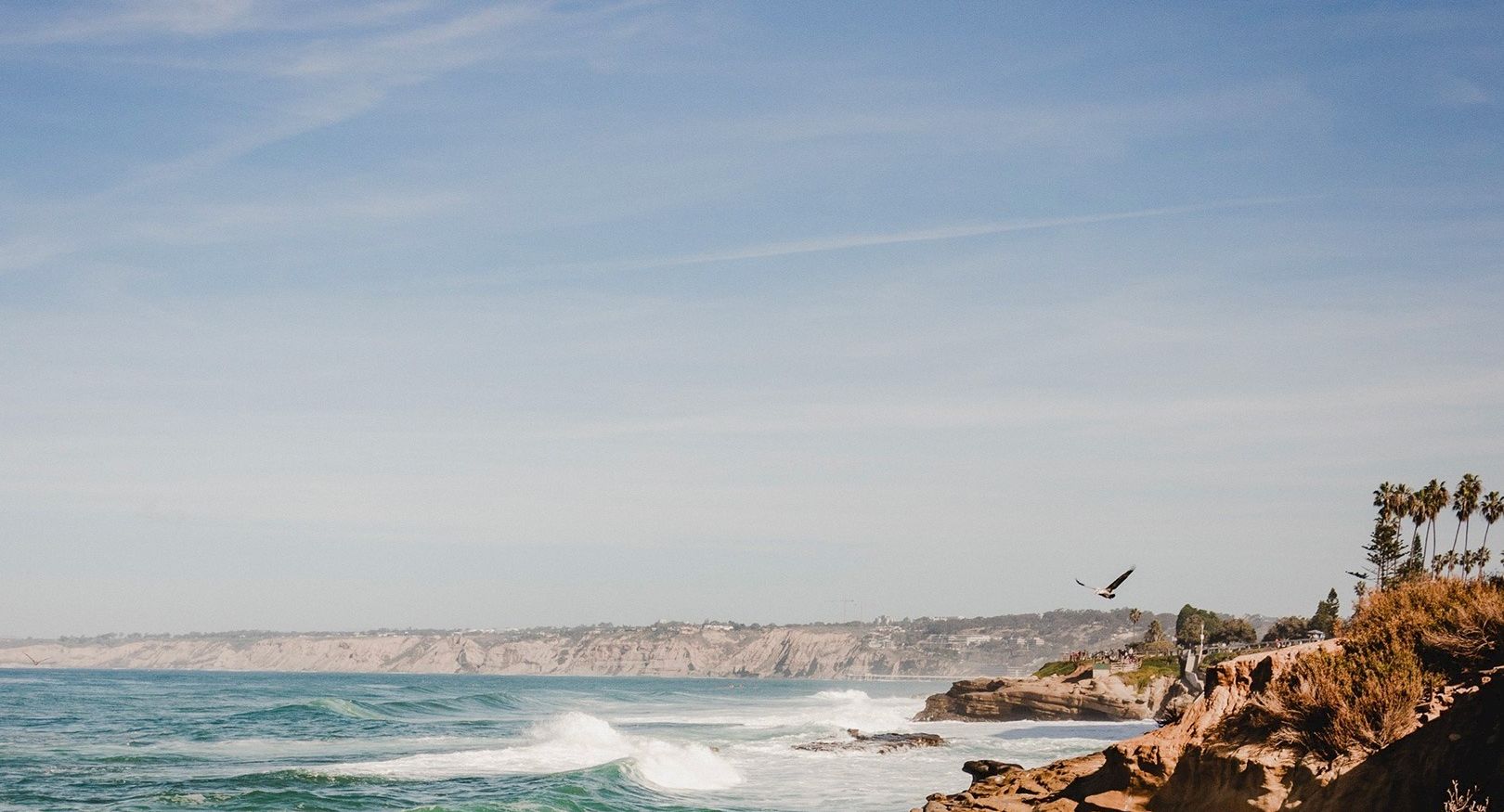 A coastal cliff beats waves against rocky shore with a seabird soaring over the blue ocean under a clear sky, a peaceful seaside landscape.