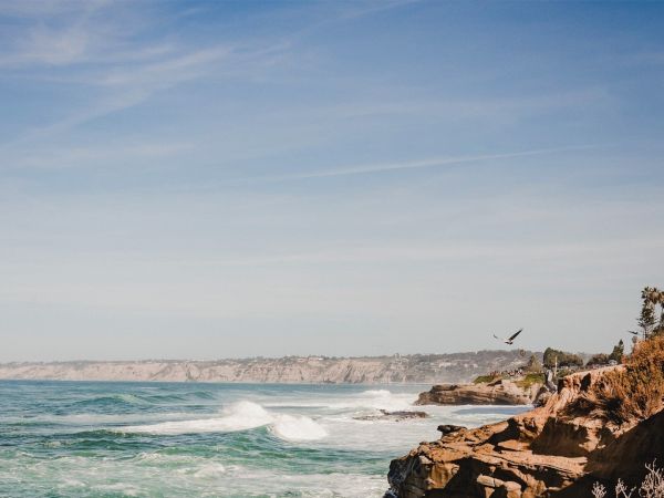 A coastal cliffside with blue ocean waves, clear sky, and a bird flying near the rocky shore, capturing a serene seaside scene.