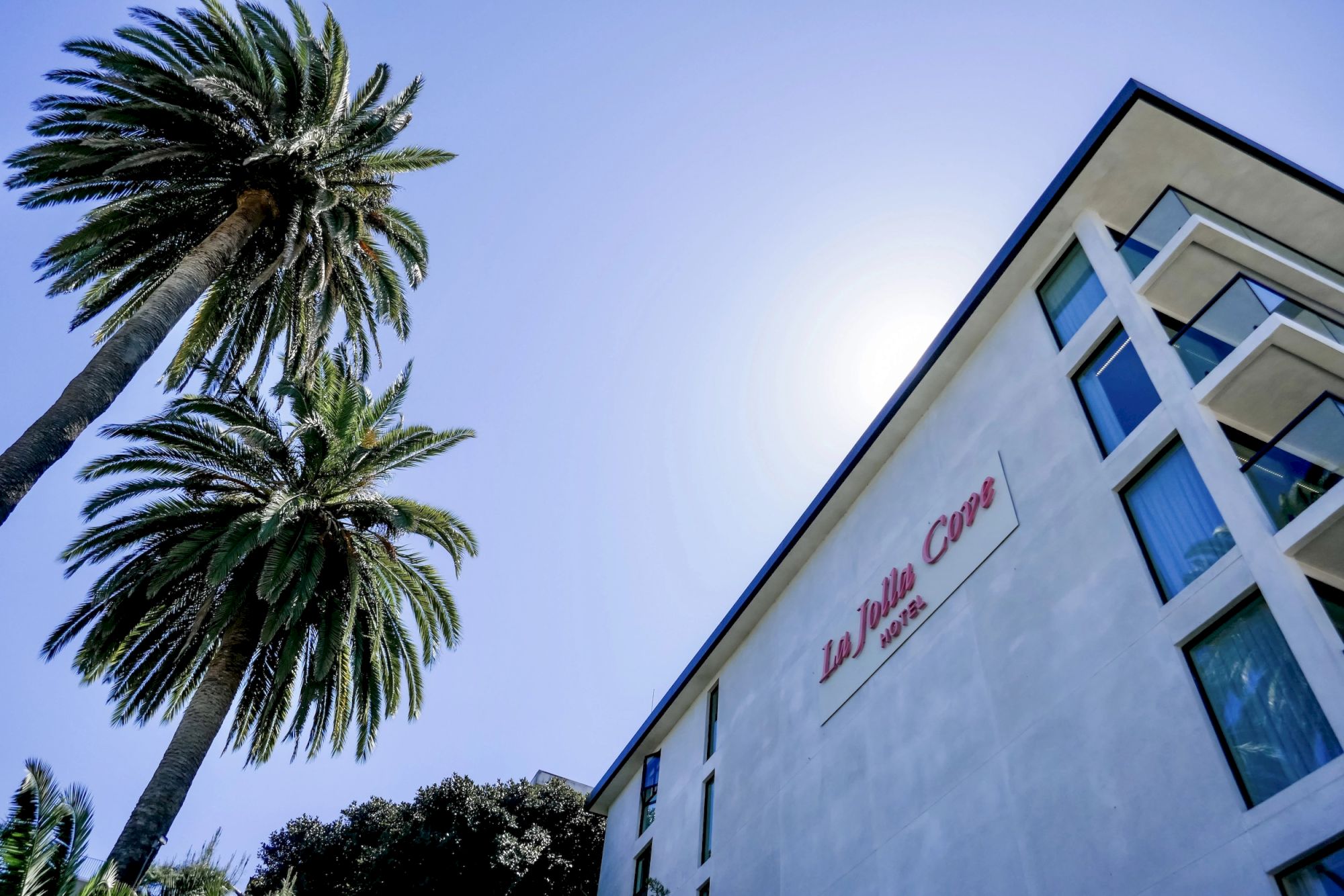 A white modern building with large windows and a red sign reading &ldquo;Le Villa Caf&eacute;&rdquo; amid tall palm trees against a bright blue sky.