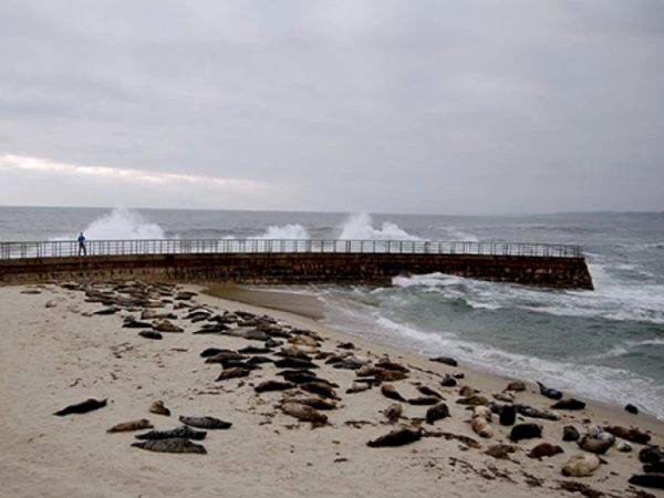 A sandy beach with a rocky spill near a seawall, waves crashing against a long pier, and a person standing at the railing near the end.