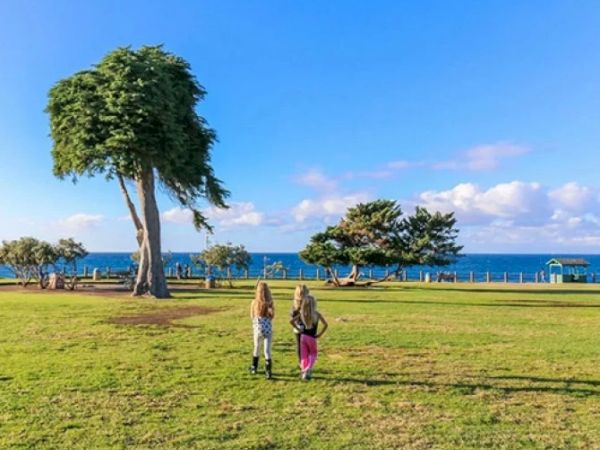 Two people stroll across a grassy park near the sea, with a few trees, blue sky, and ocean in the background, enjoying a sunny day.