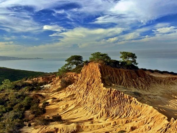 A rugged coastal bluff with layered, wind-sculpted cliffs and a few windswept trees on top, under a dramatic blue sky with clouds.