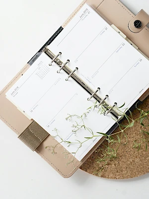A planner opened to a weekly layout rests in a tan binder, with ring holes, a cork board surface, and a small green plant nearby.
